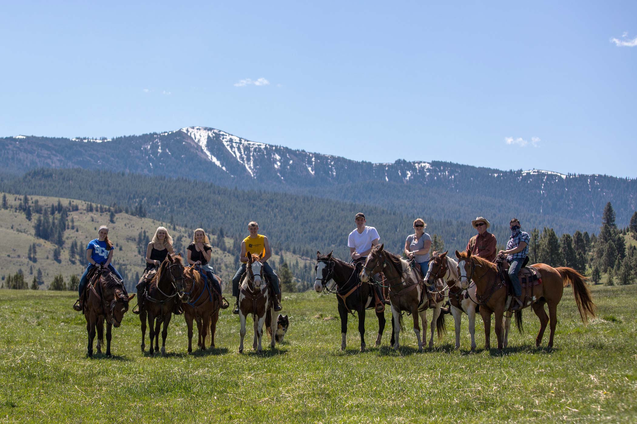 Horseback Riding Group